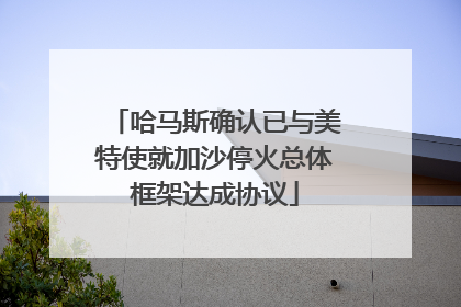 哈马斯确认已与美特使就加沙停火总体框架达成协议
