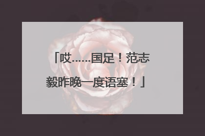 哎……国足！范志毅昨晚一度语塞！
