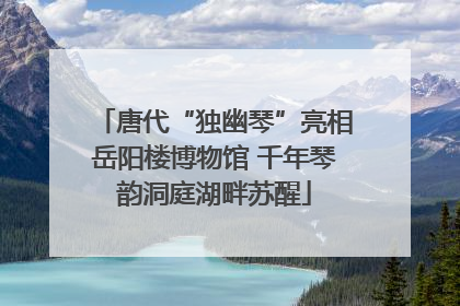 唐代“独幽琴”亮相岳阳楼博物馆 千年琴韵洞庭湖畔苏醒