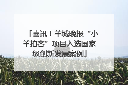 喜讯！羊城晚报“小羊拍客”项目入选国家级创新发展案例