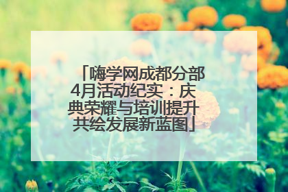 嗨学网成都分部4月活动纪实：庆典荣耀与培训提升共绘发展新蓝图