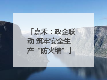 嘉禾：政企联动 筑牢安全生产“防火墙”