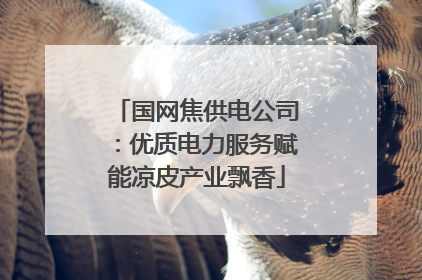国网焦供电公司：优质电力服务赋能凉皮产业飘香