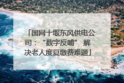 国网十堰东风供电公司：“数字反哺” 解决老人度夏缴费难题