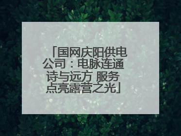 国网庆阳供电公司：电脉连通诗与远方 服务点亮露营之光