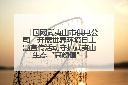 国网武夷山市供电公司：开展世界环境日主题宣传活动守护武夷山生态“高颜值”