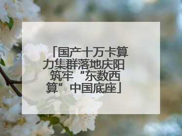 国产十万卡算力集群落地庆阳 筑牢“东数西算”中国底座