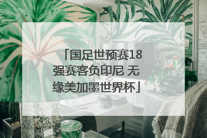 国足世预赛18强赛客负印尼 无缘美加墨世界杯