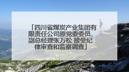 四川省煤炭产业集团有限责任公司原党委委员、副总经理张万松 接受纪律审查和监察调查