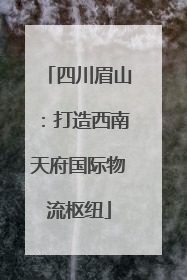 四川眉山：打造西南天府国际物流枢纽