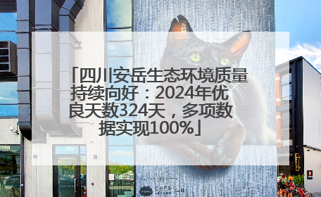 四川安岳生态环境质量持续向好：2024年优良天数324天，多项数据实现100%