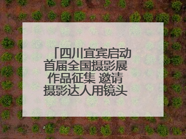 四川宜宾启动首届全国摄影展作品征集 邀请摄影达人用镜头捕捉城市之美