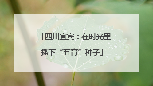 四川宜宾：在时光里播下“五育”种子
