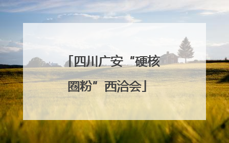 四川广安“硬核圈粉”西洽会