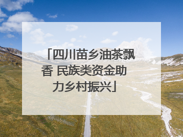 四川苗乡油茶飘香 民族类资金助力乡村振兴