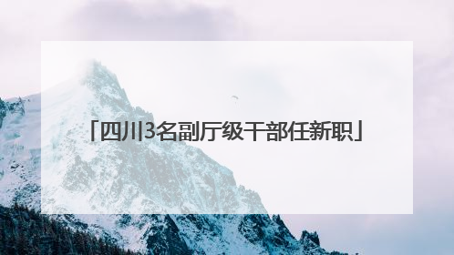 四川3名副厅级干部任新职