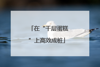 在“千层蛋糕”上高效成桩