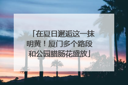 在夏日邂逅这一抹明黄！厦门多个路段和公园腊肠花盛放