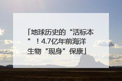 地球历史的“活标本”！4.7亿年前海洋生物“现身”保康