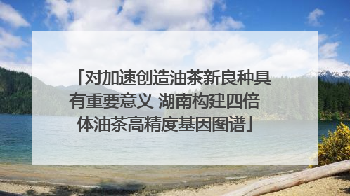 对加速创造油茶新良种具有重要意义 湖南构建四倍体油茶高精度基因图谱
