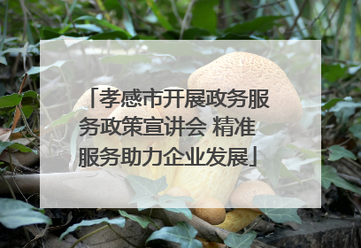孝感市开展政务服务政策宣讲会 精准服务助力企业发展