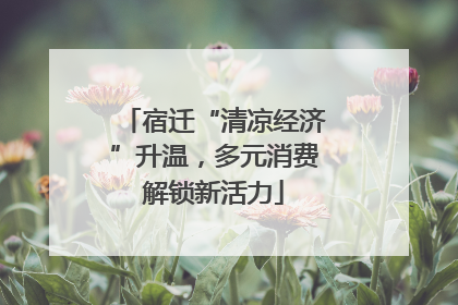 宿迁“清凉经济”升温，多元消费解锁新活力