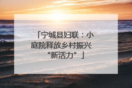 宁城县妇联：小庭院释放乡村振兴“新活力”
