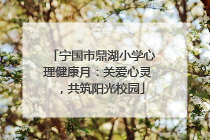 宁国市鼎湖小学心理健康月：关爱心灵，共筑阳光校园