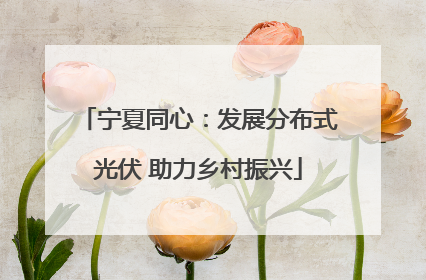 宁夏同心：发展分布式光伏 助力乡村振兴