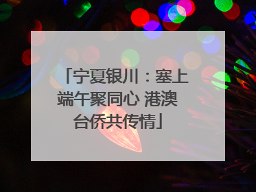 宁夏银川：塞上端午聚同心 港澳台侨共传情