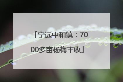 宁远中和镇：7000多亩杨梅丰收