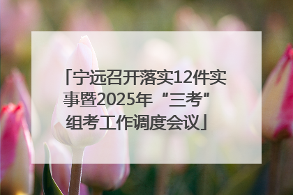 宁远召开落实12件实事暨2025年“三考”组考工作调度会议