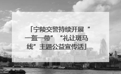 宁陵交警持续开展“一盔一带”“礼让斑马线”主题公益宣传活