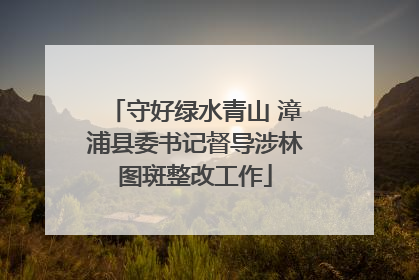 守好绿水青山 漳浦县委书记督导涉林图斑整改工作
