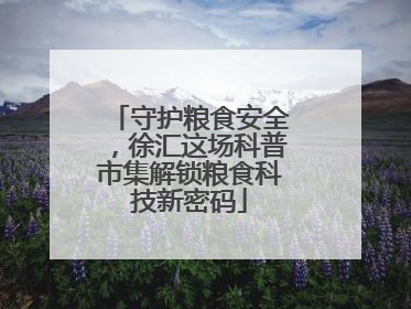 守护粮食安全，徐汇这场科普市集解锁粮食科技新密码