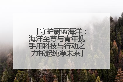 守护蔚蓝海洋：海洋至尊与青年携手用科技与行动之力托起纯净未来