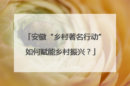 安徽“乡村著名行动”如何赋能乡村振兴？