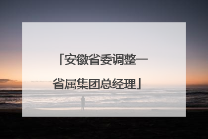 安徽省委调整一省属集团总经理