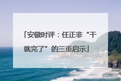安徽时评：任正非“干就完了”的三重启示