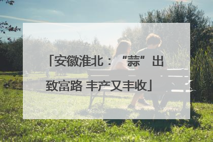 安徽淮北：“蒜”出致富路 丰产又丰收