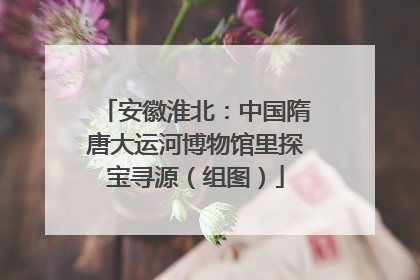 安徽淮北：中国隋唐大运河博物馆里探宝寻源（组图）