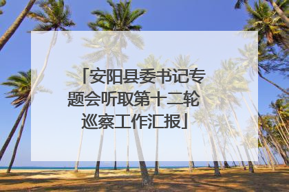 安阳县委书记专题会听取第十二轮巡察工作汇报