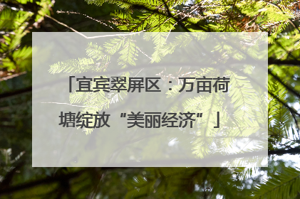 宜宾翠屏区：万亩荷塘绽放“美丽经济”