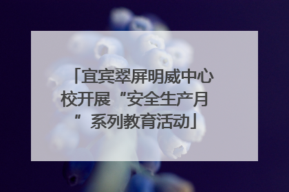 宜宾翠屏明威中心校开展“安全生产月”系列教育活动