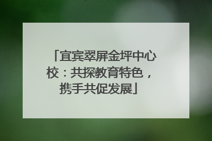 宜宾翠屏金坪中心校：共探教育特色，携手共促发展