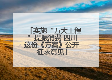 实施“五大工程”提振消费 四川这份《方案》公开征求意见