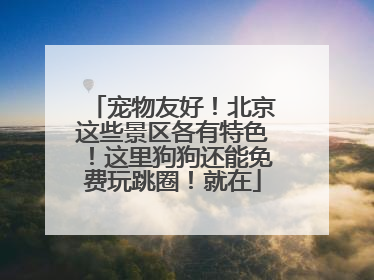 宠物友好！北京这些景区各有特色！这里狗狗还能免费玩跳圈！就在