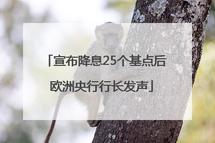 宣布降息25个基点后 欧洲央行行长发声