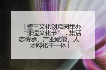 塑三文化创意园举办“非遗文化节”，集活态传承、产业赋能、人才孵化于一体
