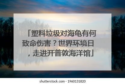 塑料垃圾对海龟有何致命伤害？世界环境日，走进开普敦海洋馆
